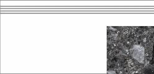 Ступень Kerranova Terrazzo K-333/MR/st01 Dark Grey 29.4x60x10