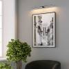 Подсветка для картин светодиодная Elektrostandard Luar 40153/LED 3000K черный жемчуг фото 2