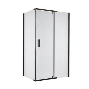 Душевой уголок Royal Bath RB HPVD-C-BL профиль черный, стекло матовое, 110x90x200