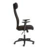 Кресло компьютерное Tetchair Pragmatic PLT 24247 черный фото 2
