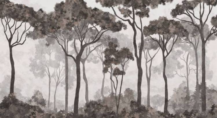 3D Фотообои Artegrafico «Молодой лиственный лес в тёмных тонах» PRS-011 канвас