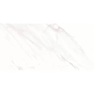 Керамическая плитка AltaCera Eterna WT9ETE00 Light 24.9x50