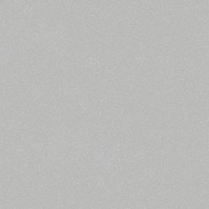 Линолеум Tarkett Acczent Pro Aspect 2 (рулон: 3.5x20=70 м2)