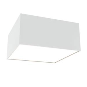 Потолочный светильник Technical Zon C067CL-L12W4K