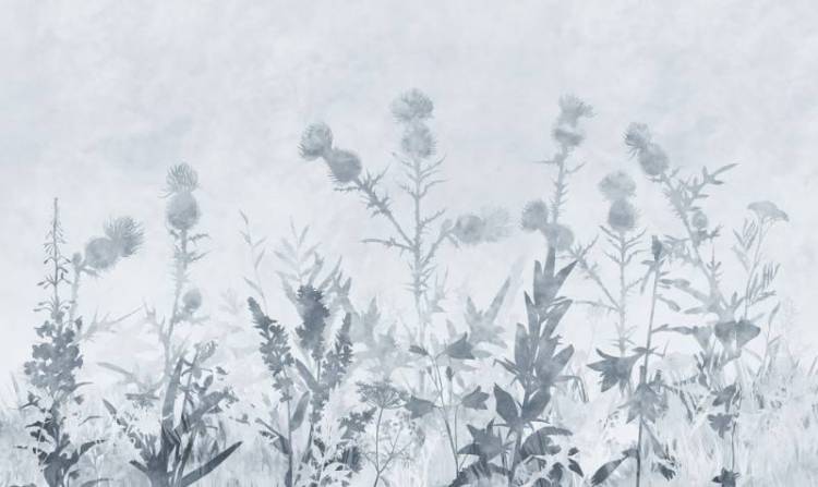 3D Фотообои Artegrafico «Светлая полевая композиция в холодных тонах» HRB-052 песок