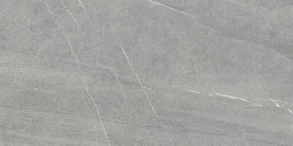 Керамогранит Pamesa Pietra Di Lavagna 17.869.0656.12204 Argento 120x60