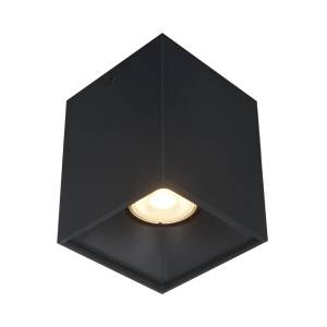 Светильник потолочный ST Luce ST168.402.01