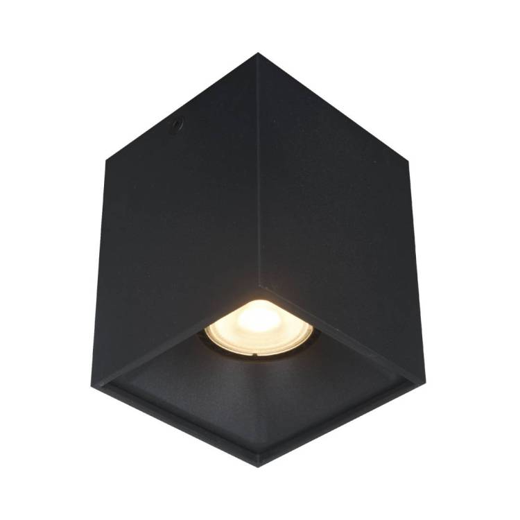 Светильник потолочный ST Luce ST168.402.01