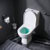 Унитаз-компакт Am.Pm Sunny C85C8600SC FlashClean, с сиденьем микролифт фото 6