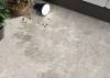 Керамогранит Fioranese Frammenta CG621R Bianco naturale 60.4x120.8 фото 14