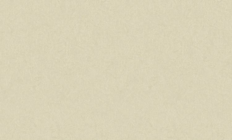 Обои флизелиновые Bruno Zoff Silver 60118-4
