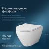 Унитаз подвесной AM.PM Spirit 2.0 C701700WH безободковый c сиденьем микролифт 57WH фото 6