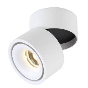 Потолочный светильник Crystal Lux Clt 412C Wh