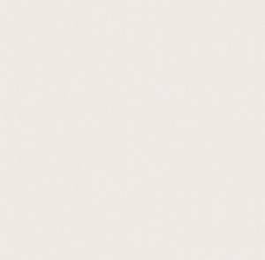 Обои Victoria Stenova Florida 286841