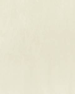 Обои Solo Elementary E300903