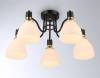 Потолочный светильник Ambrella light Traditional TR303307 фото 2
