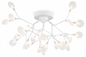 Потолочная люстра Freya Florencia FR5049CL-27W2