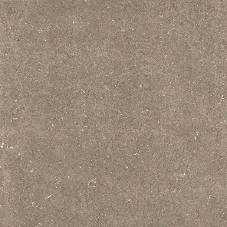 Керамогранит Casa Dolce Casa Rinascenza 785580 Arena Pietra Matte 6mm 120x120