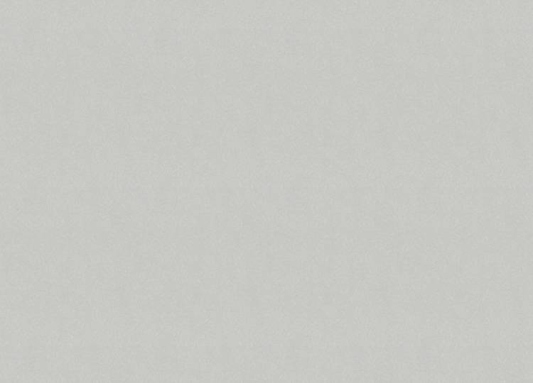 Обои Marburg Bloom 36350