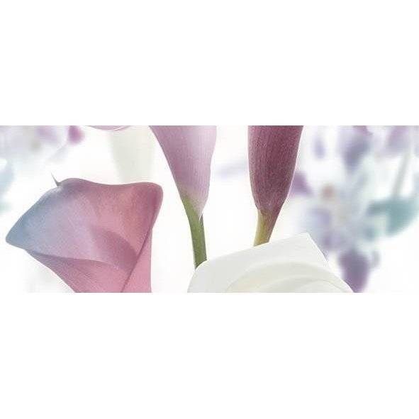 Панно Ceradim Sano КПН17SanoB Dec Panno B 20x50