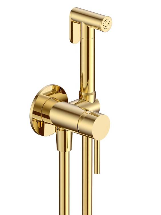 Гигиенический душ AQUAme Siena AQM6217GG скрытый монтаж, латунная лейка, Glossy Gold