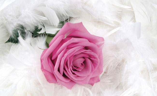 3D Фотообои Artegrafico «Невесомость» RH-004 акварель