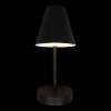 Настенный светильник Loft IT Shelf 10216/1W Black фото 4