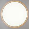 Светильник с пультом Citilux Norma CL749600 LED RGB фото 2