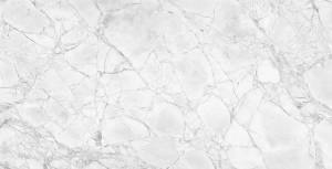 Керамогранит NT Ceramic Infinity NTTHS99807D Glacier Map 4D 60x120