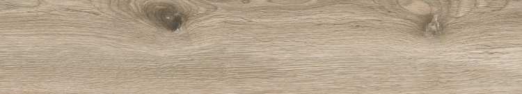 Керамогранит Absolut Gres Wildwood AB 1120W Grey 1200x200