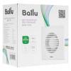 Вентилятор вытяжной Ballu BAF-FW 100 N Белый с антимоскитной сеткой фото 2