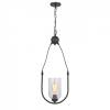 Подвесной светильник ST Luce Codita SL333.303.01