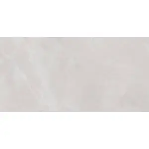 Керамическая плитка Alma Ceramica Rivoli TWU09RVL007 24.9x50