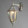 Уличный настенный светильник Arte Lamp Pegasus A3152AL-1WG фото 4