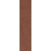 Керамогранит Simpolo Spectra MPL-061913 Scs Chilli 5.8x25