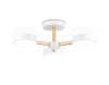 Потолочный светильник Ambrella light Comfort FL4821