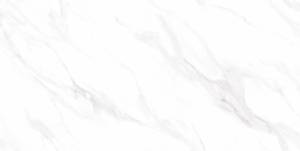 Керамогранит DO&PO Carrara Dream 60x120
