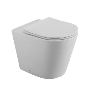 Унитаз приставной BelBagno Flay-r BB1003CBR/SC, с сиденьем