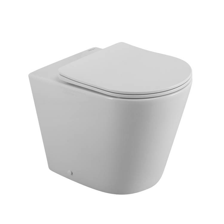 Унитаз приставной BelBagno Flay-r BB1003CBR/SC, с сиденьем