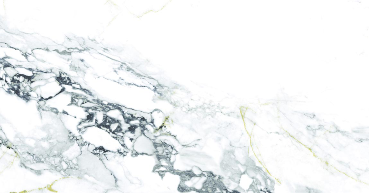 Керамогранит Ocean ceramic OC0000183 Element Calacutta 60x120