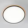 Светильник с пультом Citilux Norma CL749601 LED RGB фото 10