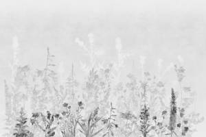 3D Фотообои Artegrafico «Светлые полевые травы» HRB-056 акварель