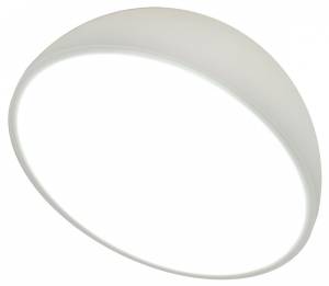 Накладной светильник Escada 20025SMA/01LED WH