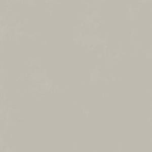 Керамогранит Italon Форум 610010004138 Слим Сильвер Рет 80x80