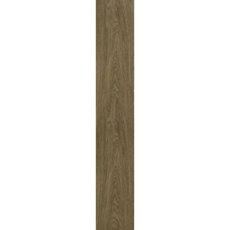 Керамогранит ColiseumGres Ducale 610010003504 Pepper Ret 20x120