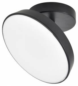 Потолочный светильник Escada 20023SMA/01LED BK