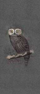 Декор ABK Moooi Nesting Room PF60021313 Special Edition Hypnotic Owl Nat 120x280