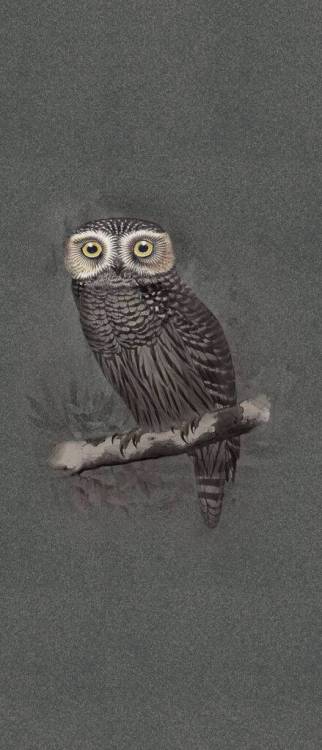 Декор ABK Moooi Nesting Room PF60021313 Special Edition Hypnotic Owl Nat 120x280