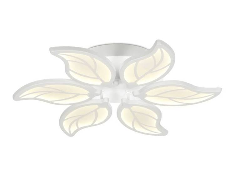 Потолочный светодиодный светильник Ambrella light Acrylica FA459