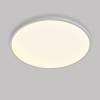 Настенно-потолочный светодиодный светильник Lightstar Arco Eco 225741 фото 7